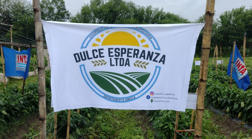 Dulce esperanza