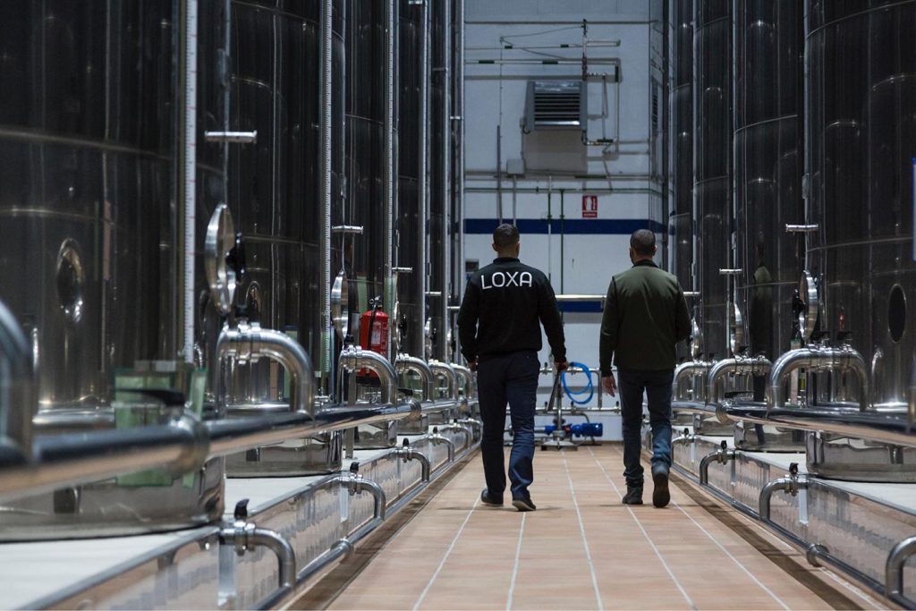 LOXA: cooperativa agrícola San Isidro productora de aceite de oliva