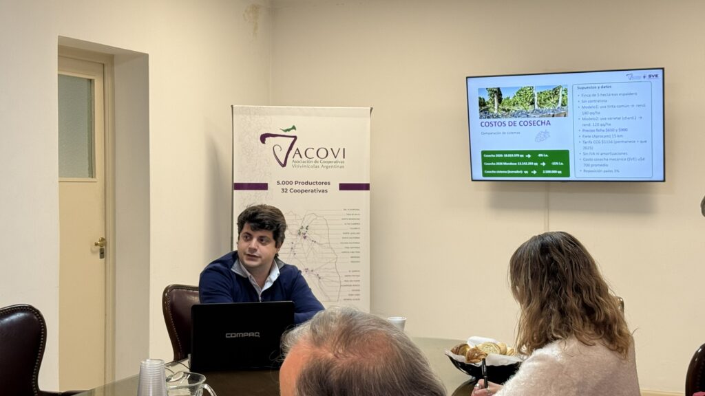 ACOVI: la cosecha asistida volvió a ser la opción más económica para los productores vitivinícolas
