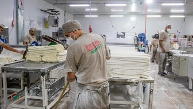 Autogestión Productiva