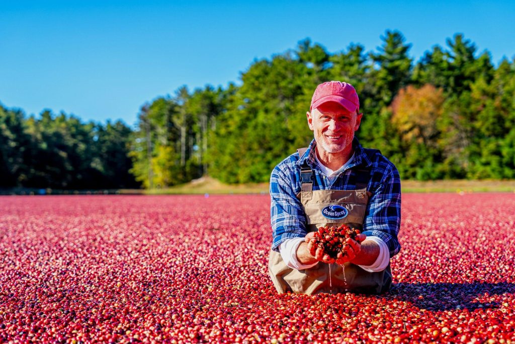 Ocean Spray