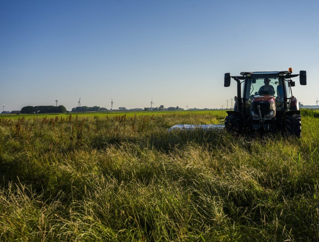 FrieslandCampina