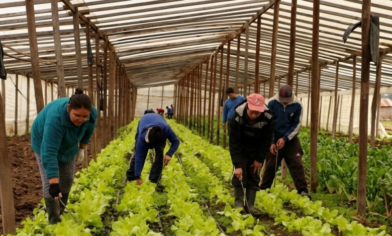 Buenos Aires lanzó "Agricultura Familiar en Marcha 2026": financiamiento de hasta $25 millones para fortalecimiento colectivo e individual - Agencia Ansol Agricultura Familiar