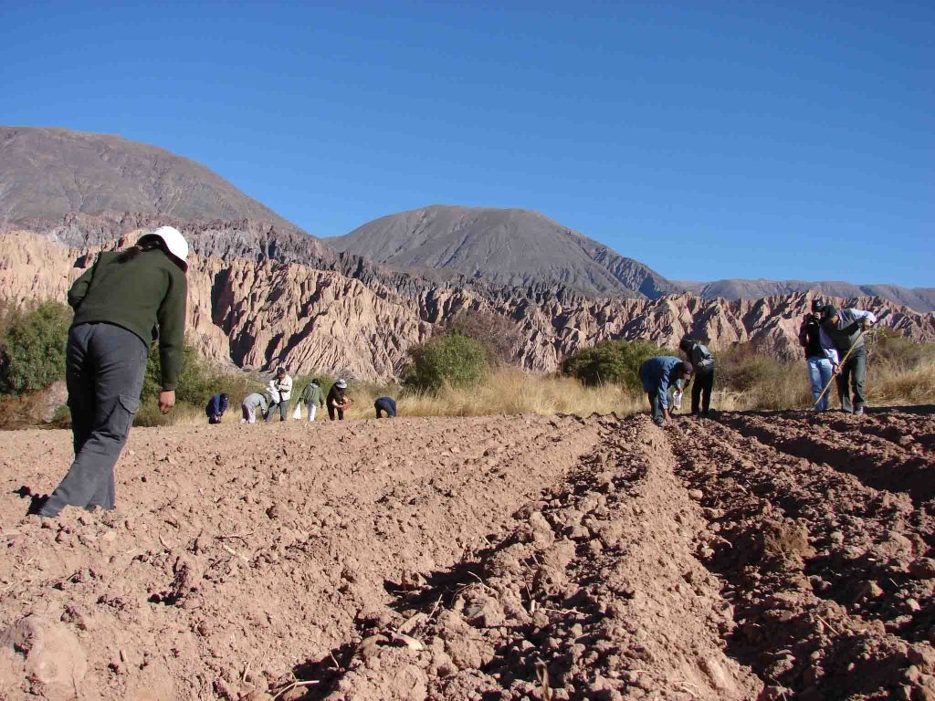 Cooperativa Agropecuaria Cauqueva es finalista de los Premios Innovamos 2026: cómo ayudar con tu voto