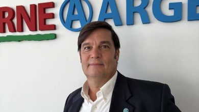 Carne vacuna: “La ganadería no entiende de tiempos políticos ni de mandatos presidenciales” - Agencia Ansol