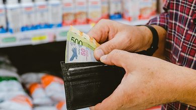 El salario mínimo de agosto solo cubrió dos semanas de comida - Agencia Ansol