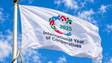 La ACI cifra en 125 países el alcance del Año Internacional de las Cooperativas - Agencia Ansol