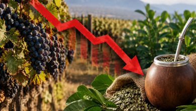 Semáforo de CONINAGRO: la papa pasó a verde, mientras el vino y la yerba se profundizan en rojo - Agencia Ansol